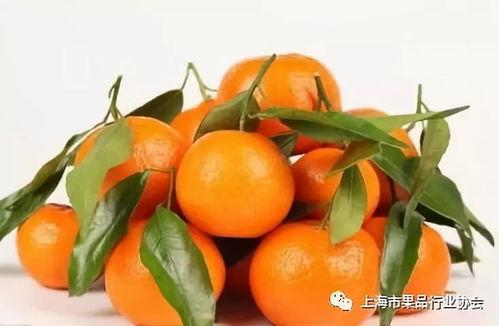 橘子君吃瓜,揭秘娱乐圈那些不为人知的幕后故事