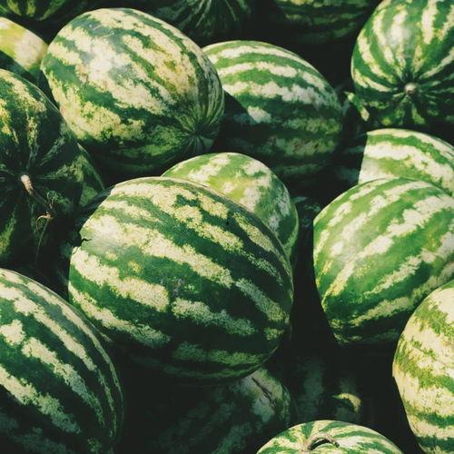 吃瓜日常和日常吃瓜哪个好