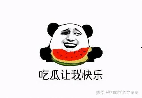 吃瓜群众免费吃瓜全部,全民共享的娱乐狂欢
