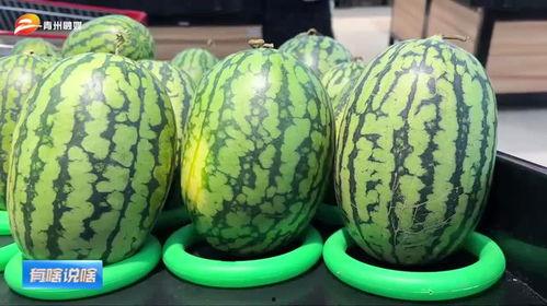 开启吃瓜模式,一场场吃瓜盛宴，带你领略明星背后的故事