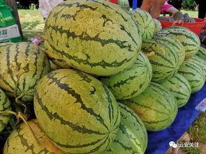 开启吃瓜模式,一场场吃瓜盛宴,带你领略明星背后的故事