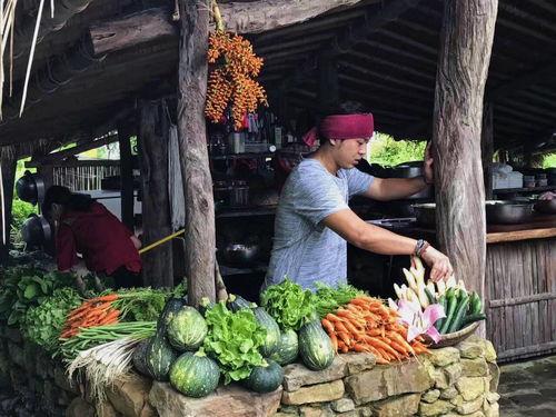 吃瓜网站168su,吃瓜网站背后的热点追踪与娱乐风向标