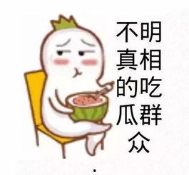 吃瓜群众看电视,吃瓜群众视角下的电视娱乐盛宴