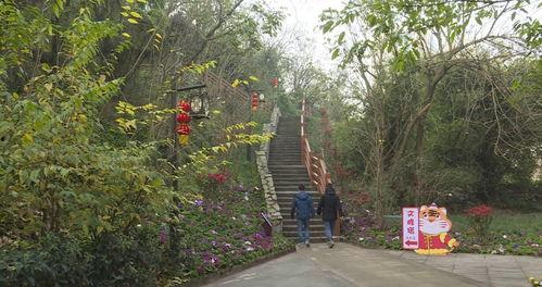 塔山公园吃瓜,畅享清凉时光