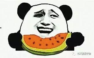 吃瓜群众拜年视频