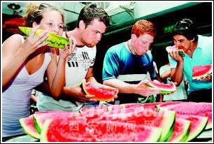 古城北门吃瓜,夏日吃瓜，品味历史与现代交融的悠闲时光