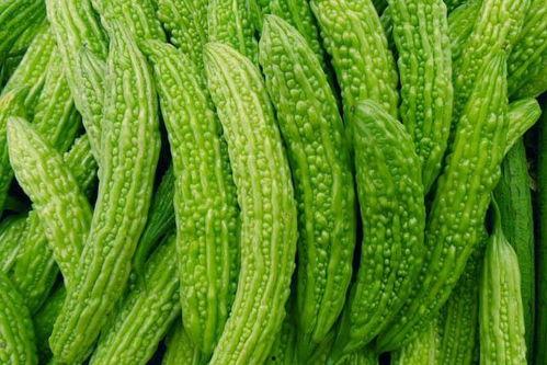 吃瓜大便多,揭秘大便增多背后的秘密