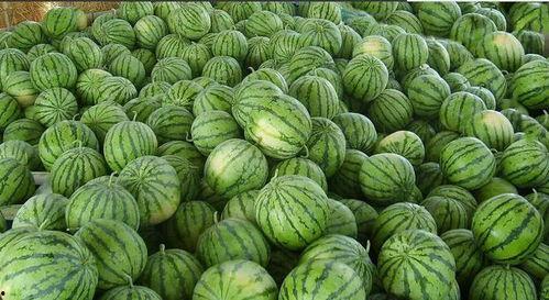 网络上有哪些吃瓜,盘点热门事件,揭秘幕后真相