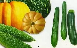 南瓜头吃瓜,一场欢乐的夏日盛宴