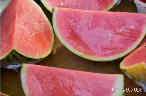 干净吃瓜,品味生活——干净吃瓜指南