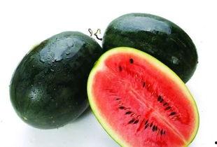 咸阳淳化吃瓜,夏日吃瓜盛宴,品味乡村田园风情