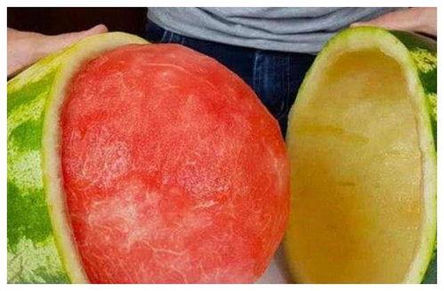 豪横吃瓜人,畅享人生百态