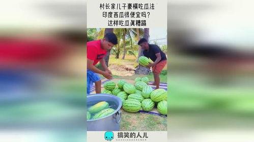 豪横吃瓜人,畅享人生百态