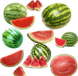 南内环吃瓜,吃瓜群众的欢乐盛宴