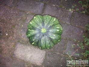 南内环吃瓜,吃瓜群众的欢乐盛宴