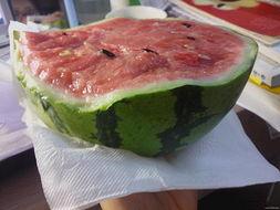 纸瓜怎么吃,探索传统美食的新境界