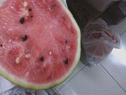 纸瓜怎么吃,探索传统美食的新境界